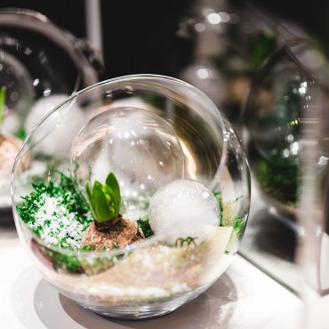 电话呼叫软件网页版